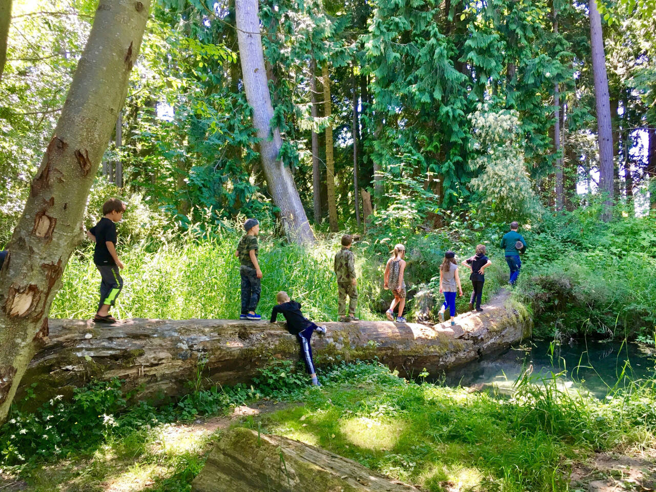 Photo courtesy of Dungeness River River Center / Registration is open for Dungeness River River Center’s summer day camps. Register at DungenessRiverCenter.org.
