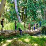 Photo courtesy of Dungeness River River Center / Registration is open for Dungeness River River Center’s summer day camps. Register at DungenessRiverCenter.org.