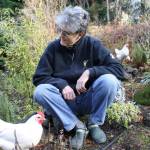 Photo by USDA
Join Clallam County Master Gardener Muriel Nesbitt for a Green Thumb Gardening Tips Zoom presentation on July 14 nutrient decline in vegetables and what that means for families and their gardens.