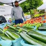 Photo by Emma Jane Garcia/Sequim Farmers & Artisans Market
Check out zucchinis, cherries and more at the Oceanside Nurseries at the Sequim Farmers & Artisans Market, hosting special hours this Saturday and Sunday during Lavender Weekend.
