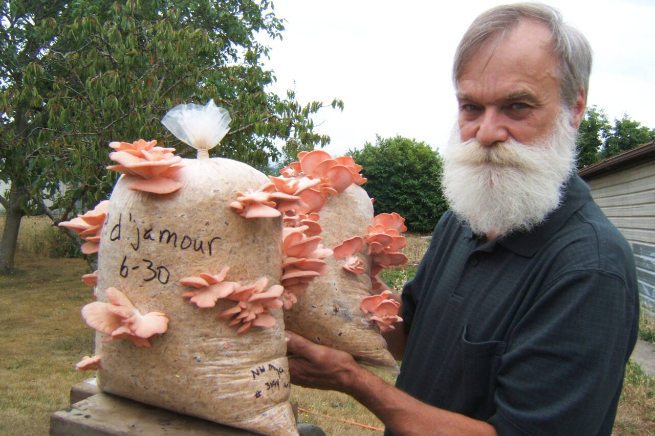 Photo by Lowell Dietz / Join mushroom hobbyist Lowell Dietz for a Clallam County Master Gardener Green Thumb Gardening Tips Zoom presentation on July 28.