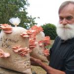 Photo by Lowell Dietz / Join mushroom hobbyist Lowell Dietz for a Clallam County Master Gardener Green Thumb Gardening Tips Zoom presentation on July 28.