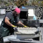 Sequim Gazette photo by Matthew Nash
Bryan Bearden with Jamestown Seafood sorts Pacific oysters as Casey Sixkiller, the U.S. Environmental Protection Agency Region 10 regional administrator, watches at the John Wayne Marina. Jamestown SKlallam Tribes Natural Resources staff said EPA funding helps staff monitor local waters and algae populations so shellfish are safe to eat. The EPA just announced $50 million over five years to help many treaty tribes with salmon and shellfish habitat restoration efforts.