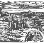 Courtesy Photo
Walrus by Nathan Shields, the featured artist at Harbor Art Gallery in Port Angeles this month.