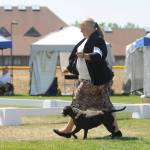 Dana Merrett of Anacortes on July 31 shows Elle, a Staffordshire bull terrier, at the Hurricane Ridge Kennel Clubs All-Breed Dog Shows, Obedience and Rally Trials, held this past weekend at Carrie Blake Community Park.