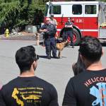 Sequim Gazette photo by Michael Dashiell / Kevin Miller, Port Angeles Police Department officer, offers a K-9 demonstration as Kitsap County Sheriffs Office deputy Aaron Baker. and Port Angeles police officer Whitney Fairbanks look on.