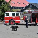 Sequim Gazette photo by Michael Dashiell / Whitney Fairbanks, an officer with the Port Angeles Police Department, and K-9 officer Copper offer a K-9 demonstration with Kitsap County Sheriffs Office deputy Aaron Baker at the 2022 Unity of Effort event, held Aug. 6 at Security Services Northwest in Sequim. Looking on is Port Angeles Police Department officer Kevin Miller.