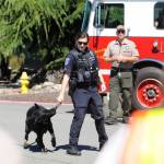 Sequim Gazette photo by Michael Dashiell / Whitney Fairbanks, a K-9 officer with the Port Angeles Police Department, and K-9 officer Copper offer a demonstration at the 2022 Unity of Effort event, held Aug. 6 at Security Services Northwest in Sequim. Looking on is Kitsap County Sheriffs Office deputy Aaron Baker.