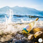 Photo courtesy of Seabeck Cellars