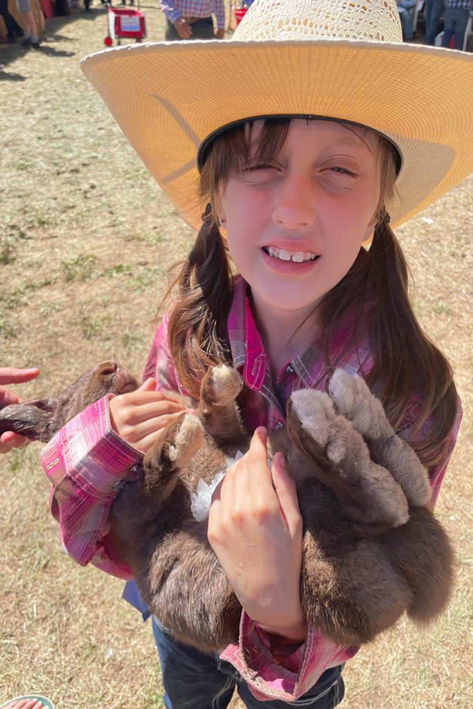 Sequim Gazette photo by Matthew Nash/ McKinley Huntington of Sequim cools off her rabbit Whatchamacallit with some ice on his tummy before she auctioned him off during the Clallam County Junior Livestock Auction.