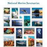 Photo courtesy USPS/ A new stamp set from the U.S. Postal Service includes a scene from Clallam County and 15 other photos of wildlife and ecosystems in Americas national marine sanctuaries and marine national monuments.