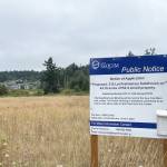 Sequim Gazette photo by Matthew Nash / Whether a 215-home development off South Seventh Avenue moves forward as proposed depends on a decision from city appointed hearing examiner Andrew Reeves this week.