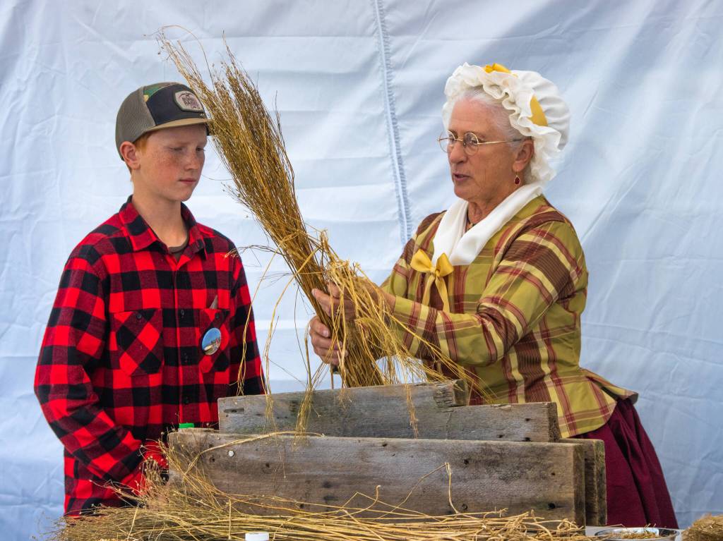 Sequim Gazette photo by Emily Matthiessen / Caleb Berneking assists Jane Ritchie, playing Martha Washington, as she demonstrates how flax was turned into linen in the 1700s to a crowd at the Northwest Colonial Festival last Friday.