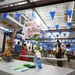 Sequim Gazette photo by Michael Dashiell / A colorful variety of flowers and other plants await visitors to the Clallam County Fair on Aug. 18.