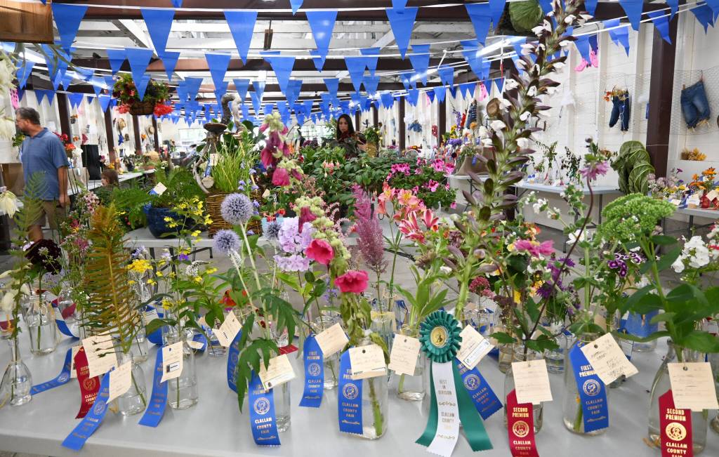 Sequim Gazette photo by Michael Dashiell