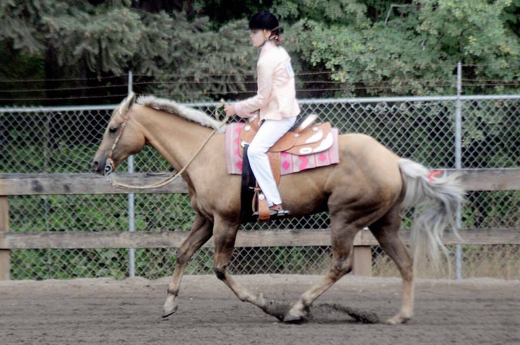 Photo by Keith Thorpe/Olympic Peninsula News Group
Katelynn Sharpe, 14, of Sequim, representing the Neon Riders 4H Club, gallops her horse, Zoe, around the show ring as a warmup before judging on Aug. 20 at the Clallam County Fair.