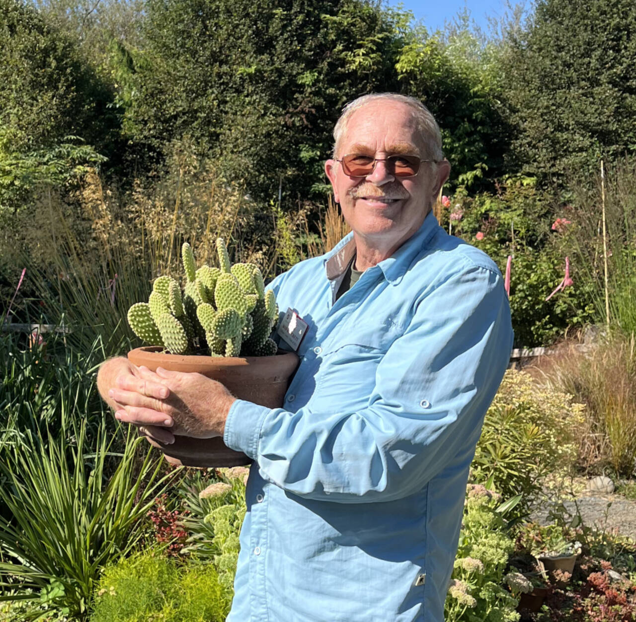Photo by Susan Kalmar
Find out how easy, beautiful and versatile gardening with succulents can be, as Clallam County Master Gardener Bob Blackett leads a Green Thumb Garden Tips Zoom presentation from noon-1 p.m. Thursday, Sept. 8.