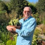 Photo by Susan Kalmar
Find out how easy, beautiful and versatile gardening with succulents can be, as Clallam County Master Gardener Bob Blackett leads a Green Thumb Garden Tips Zoom presentation from noon-1 p.m. Thursday, Sept. 8.