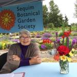 Photo by Renne Emiko Brock
Join Mary Crook, a volunteer with the Sequim Botanical Garden Society, to learn about attractive flower arrangements for a Work to Learn party at 1 p.m. Saturday, Sept. 24, at the Sequim Botanical Garden Terrace Garden.