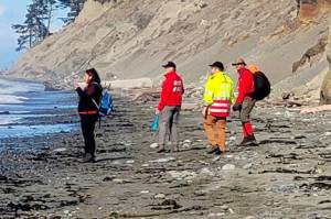 Clallam County Search and Rescue crews walk the beach at Dungeness Spit on Friday. The sheriff's office suspects the remains found are from a seaplane crash near Whidbey Island on Sept. 4. (Clallam County Sheriff's Office)