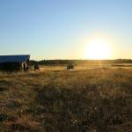 Submitted photo / Solstice by Larry Hueth, a featured artist in the City Arts Advisory Commissions Solstice exhibit in the Karen Kuznek-Reese Gallery at the Sequim Civic Center, 152 W. Cedar St.