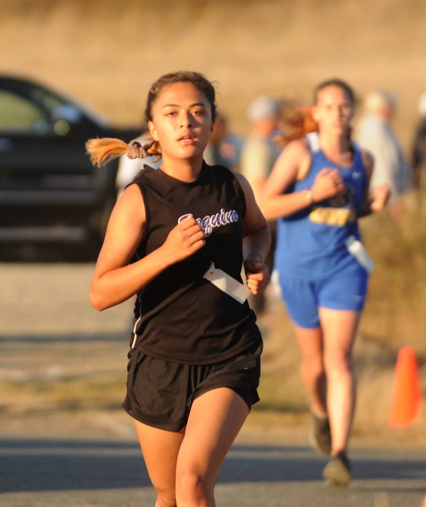 Sequim Gazette photo by Michael Dashiell / Sequims Ahrya Klinger races in an Olympic League meet on Oct. 12 at Voice of America Park in Sequim. Klinger finished 32nd in 25:35 as the Wolves placed third.