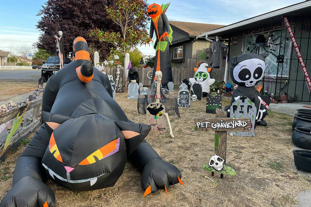 Sequim Gazette photo by Matthew Nash/ On one side of the front yard everything from inflatables to gravestones to skeletons fill space, while on the other side, inflatables and giant cobwebs greet visitors