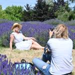 Sequim Gazette photo by Michael Dashiell
Anna Gnilomedova, right, takes a photo of Oksana Kovalchuk at Jardin du Soliel Lavender Farm & Gift Shop on July 15. Originally from Ukraine, Gnilomedova and Kovalchuk live in Seattle and were on the Olympic Peninsula for several days visiting Olympic National Park sites (Sol Duc, Lake Crescent, Hurricane Ridge) before visiting lavender farms in Sequim.