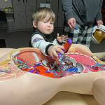 Sequim Gazette photo by Matthew Nash/ Spaceman Tucker Weatherly, 4, enjoys some treats from a dummys tummy inside during Sequim High Schools Haunted Hallways event on Oct. 29. The HOSA club, now known as Future Health Professionals, offered gloves for children to wear and touch brains, and other body parts.