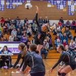 Sequim Gazette photo by Emily Matthiessen
Sequims Kendall Hastings, right, looks for a kill in the Wolves Olympic League tourney semifinal match against rival Port Angeles on Nov. 3. Sequim swept the Roughriders, 3-0.