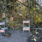 Sequim Gazette photo by Matthew Nash/ the Bell Creek bridge in Carrie Blake Community Park was closed last weekend after high winds brought down trees and limbs on and around the structure.