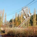 Keith Thorpe/ Olympic Peninsula News Group/ Electrical transformers dangle from powerlines on Saturday, Nov. 5 after a power pole was snapped by a toppled tree along Gilbert Road near Carlsborg.