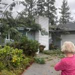 Sequim Gazette photoS by Matthew Nash
Nattalia Sharinger-Gellert said she and her husband Daniel Gellert have lived in their Sunland home since 1998 and theyve removed trees before but never had one hit their house like this. The Nov. 4 windstorm caused a tree to snap and puncture their ceiling and damage their roof near the entrance. She said people couldnt believe that their new truck was unscathed.