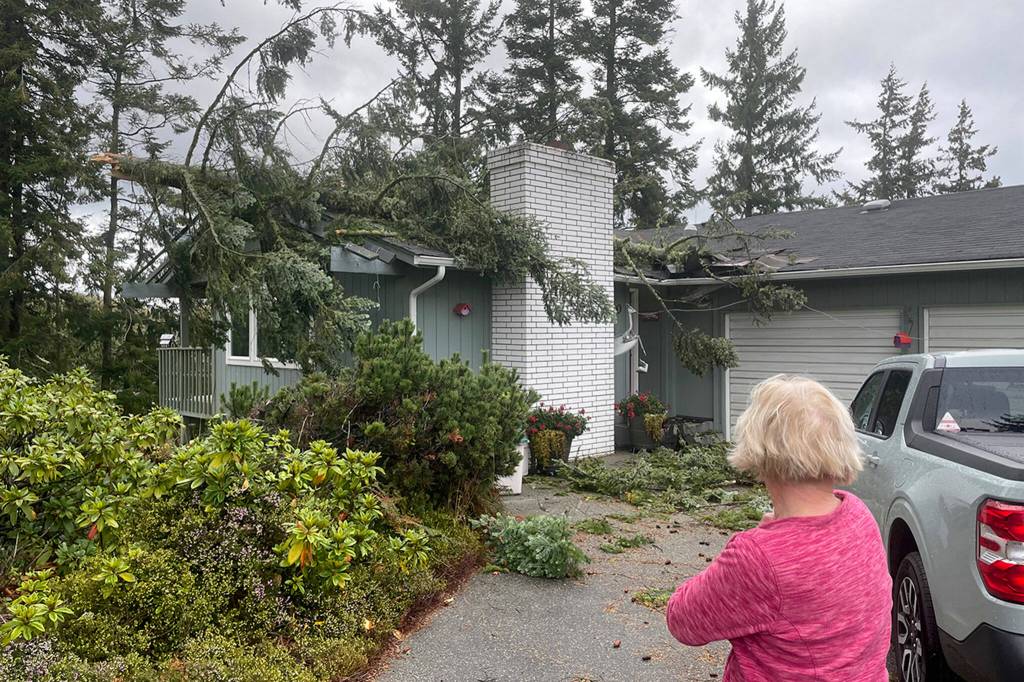 Sequim Gazette photoS by Matthew Nash
Nattalia Sharinger-Gellert said she and her husband Daniel Gellert have lived in their Sunland home since 1998 and theyve removed trees before but never had one hit their house like this. The Nov. 4 windstorm caused a tree to snap and puncture their ceiling and damage their roof near the entrance. She said people couldnt believe that their new truck was unscathed.