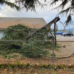 Photo by Suzan Mannisto /