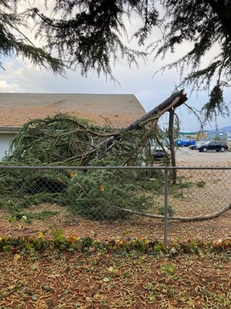 Photo by Suzan Mannisto /