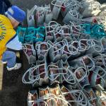 Sequim Gazette photo by Matthew Nash/ Pat Phillips, past zone chairman with the Sequim Valley Lions, grabs some meal bags to place in a trunk on Nov. 18 during the Family Holiday Food Bag Distribution event.