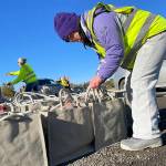 Sequim Gazette photo by Matthew Nash
Megan Caldwell returns to Carrie Blake Community Park to work with her dad Bert to help place meal bags in vehicles on Nov. 18 during the Family Holiday Food Bag Distribution Day.
