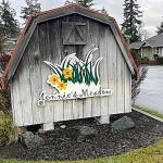 Sequim Gazette photo by Matthew Nash/ A man inside Jennies Meadow helped his neighbor evade a car fire on Nov. 27 that spread from underneath to engulf the entire car and burn the asphalt.