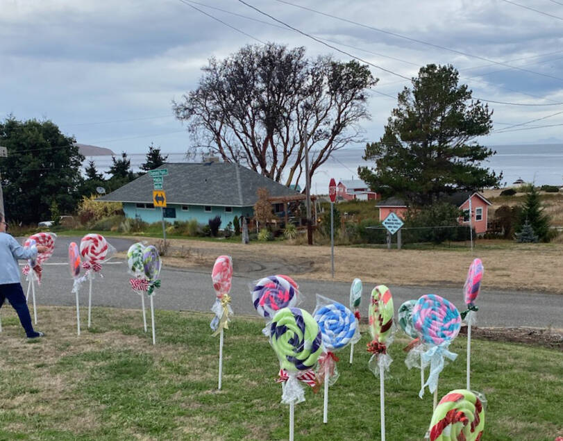 Submitted photo / Neighbors place lollipop decorations along Diamond Point Road on or about) Nov. 23. A couple of days later, all but five were missing.