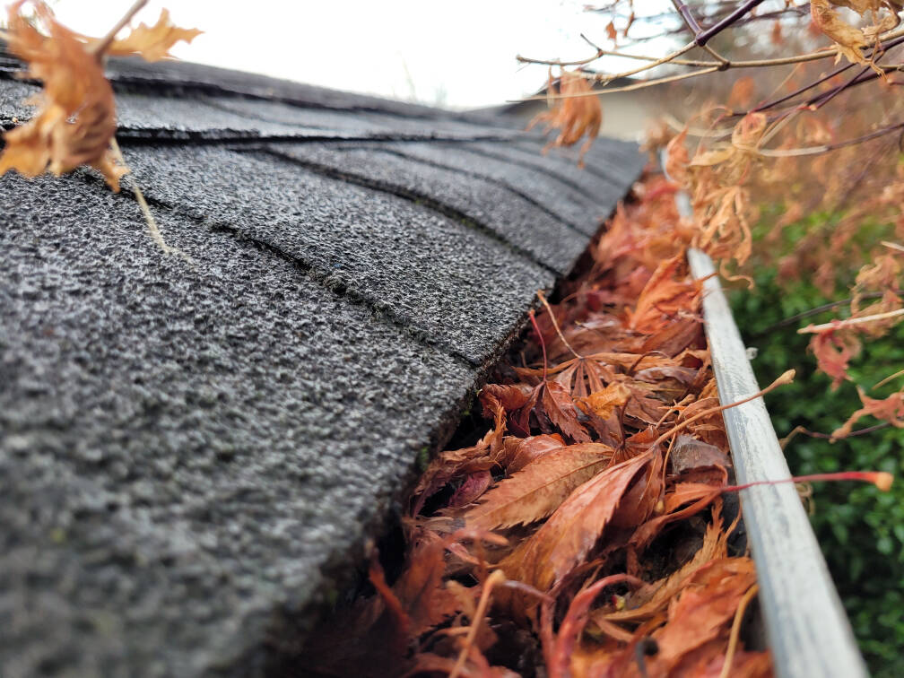 Sequim Gazette photo by Michael Dashiell / Local gardening experts suggest a variety of uses for your piles of dead leaves in the late fall, from compost pile fodder to fertilization of lawns and more.