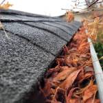 Sequim Gazette photo by Michael Dashiell / Local gardening experts suggest a variety of uses for your piles of dead leaves in the late fall, from compost pile fodder to fertilization of lawns and more.