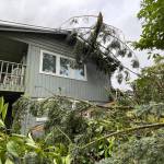 Sequim Gazette photo by Matthew Nash/ Nattalia Sharinger-Gellert said she and her husband Daniel Gellert have lived in their Sunland home since 1998 and theyve removed trees before but never had one hit their house like this. The Nov. 4 windstorm caused a tree to snap and puncture their ceiling and damage their roof near the entrance.