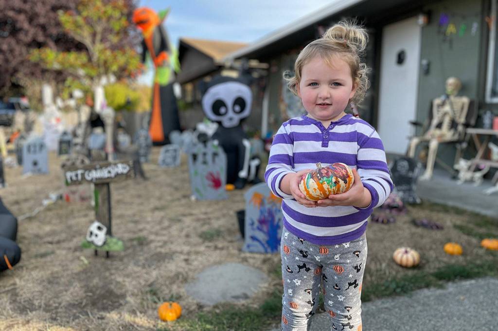Sequim Gazette photo by Matthew Nash/ Holding one of many hand painted pumpkins, 2-and-a-half-year-old Parker Lomker stands beside her downtown Sequim yard where decorations are placed everywhere for Halloween and Christmas.