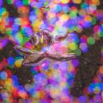 Sequim Gazette photo by Emily Matthiessen / A maple leaf in a puddle is illuminated and transformed by the holiday lights of Jamestown.