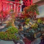 Sequim Gazette photo by Emily Matthiessen / The lower parking lot near Jamestown Dental is illuminated by bright red holiday lights.