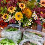 Amy Nash/Eat Local First Olympic Peninsula and NODC/WSU Clallam Extension
Check out the Tampopo Farm booth and others each year, from May through October, at the Sequim Farmers & Artisans Market.