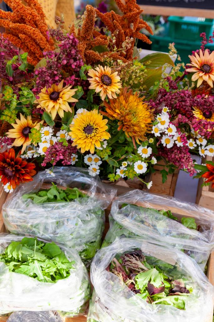 Amy Nash/Eat Local First Olympic Peninsula and NODC/WSU Clallam Extension
Check out the Tampopo Farm booth and others each year, from May through October, at the Sequim Farmers & Artisans Market.