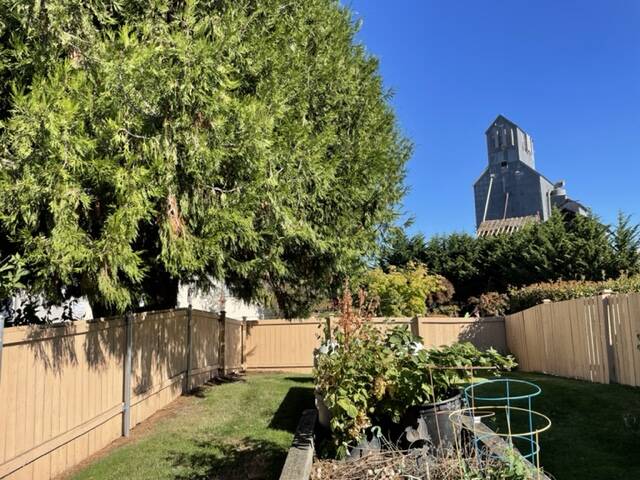 Sequim Gazette photo by Matthew Nash/ Community manager Lori Herrin for Suncrest Village Retirement Community said her calls to police increased this year for concerns of people trespassing, including a couple sleeping in a tree that comes into the facilitys property.