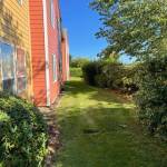 Sequim Gazette photo by Matthew Nash/ Staff at Suncrest Village Retirement Community have cut down all bushes and shrubs around the facility after reports of alleged trespassing and people using the bushes for bathrooms. Theyve also reported suspicious activity from at least one RV parked nearby the facility.